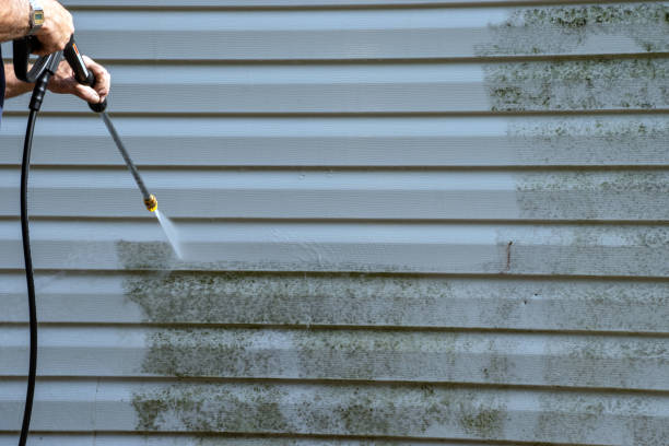 Best Siding Painting and Refinishing  in Wellington, UT