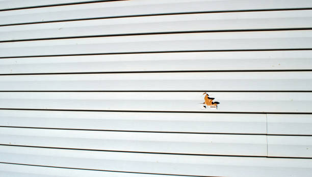 Reliable Wellington, UT Siding Installation & Repair Solutions